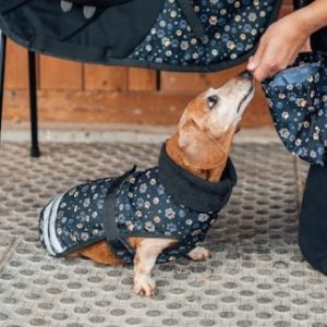 Obleček pro psy Golden Paws